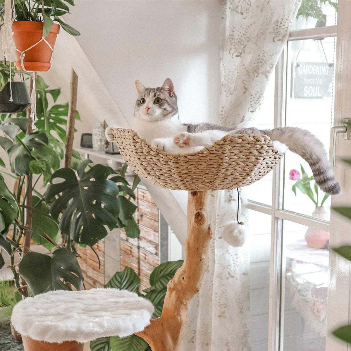 Cat Tree M94083