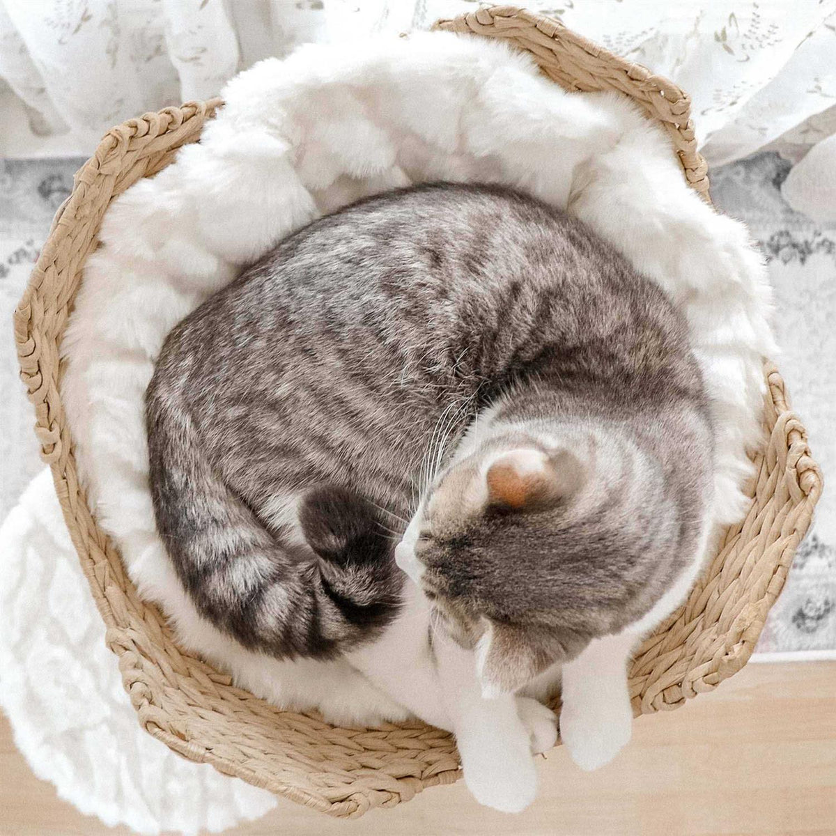 Cat Tree M94083