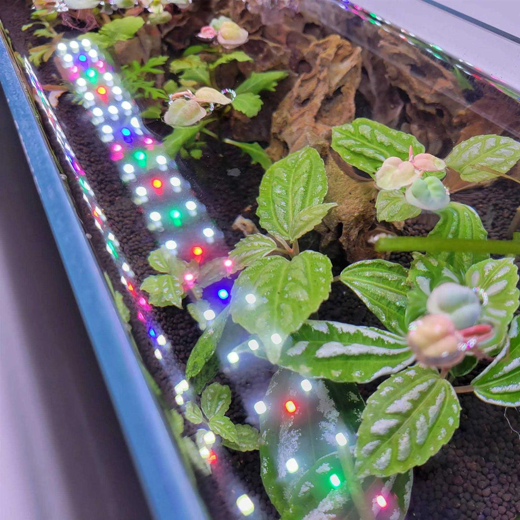 Full Spectrum LED Aquarium Light O994